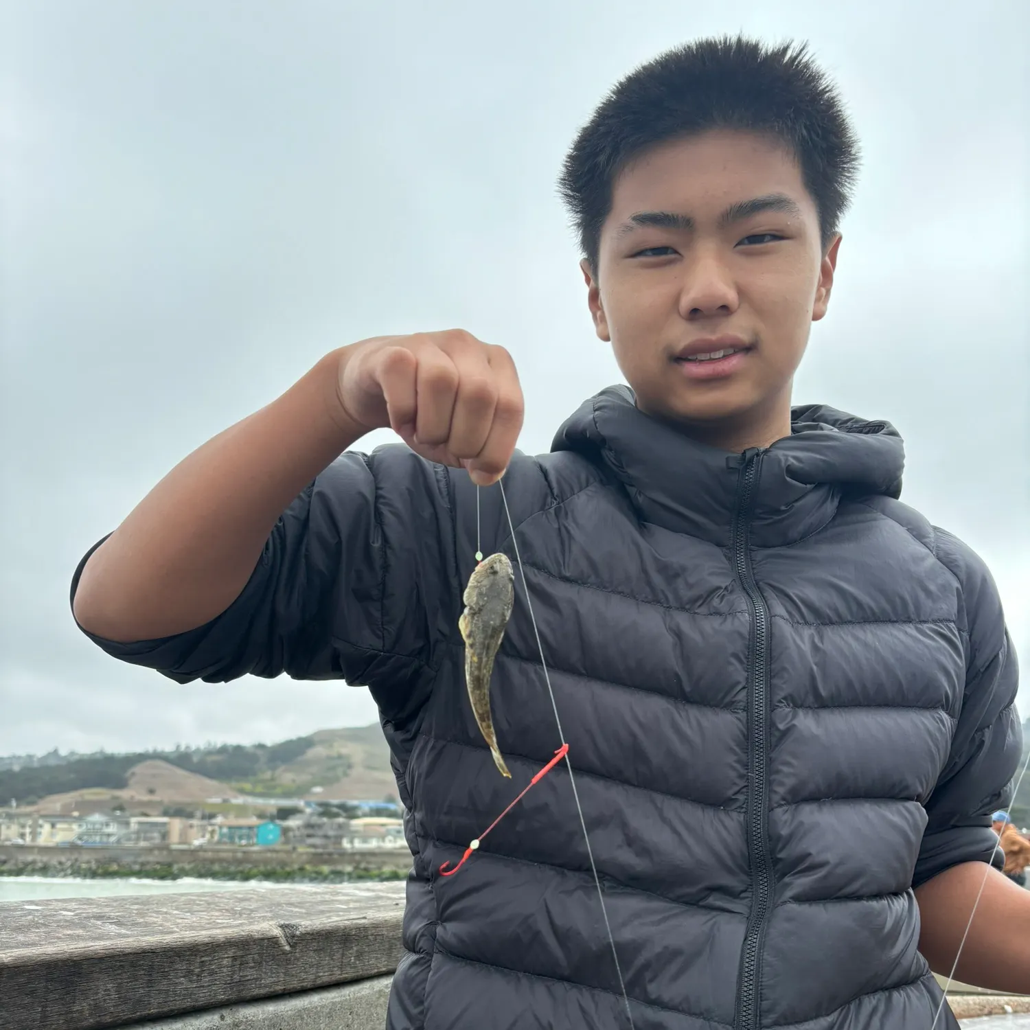 The most recent Pacific staghorn sculpin catches on Fishbrain
