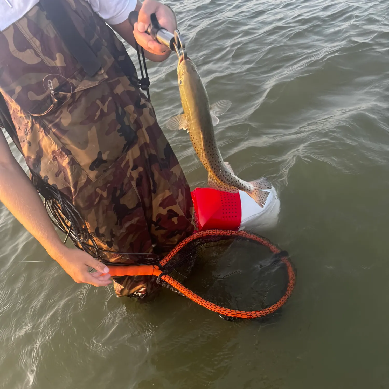catch