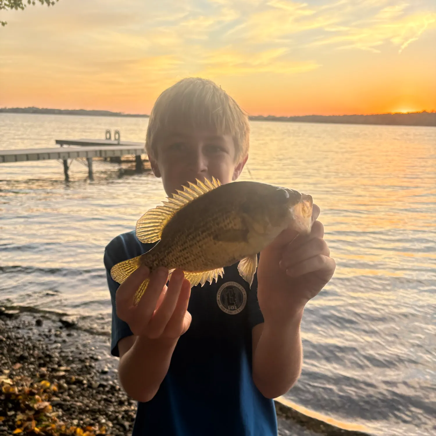 Rock bass caught on Fishbrain
