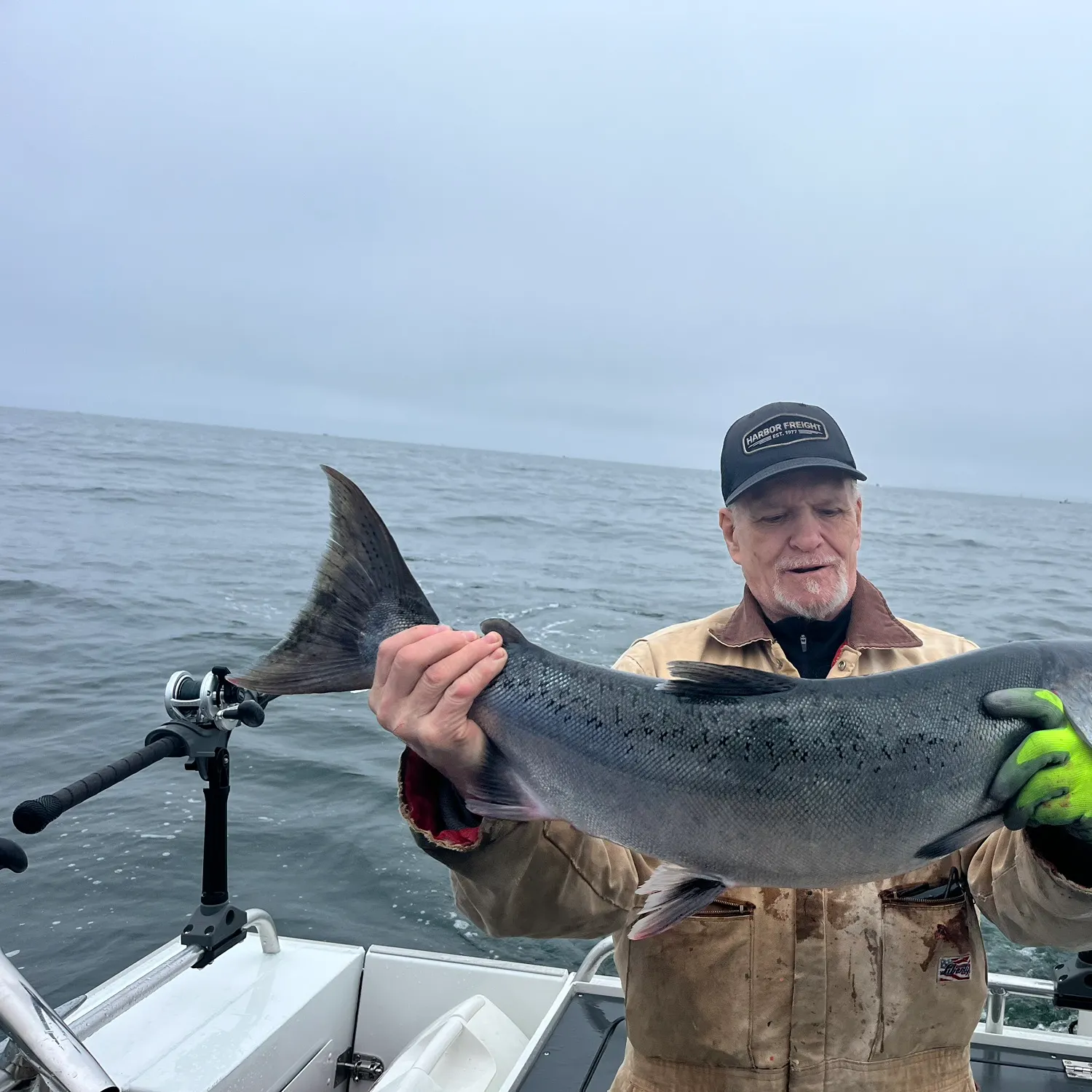 Chinook salmon caught on Fishbrain