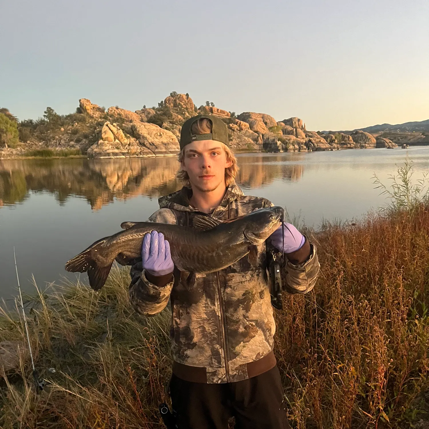 Channel catfish caught on Fishbrain