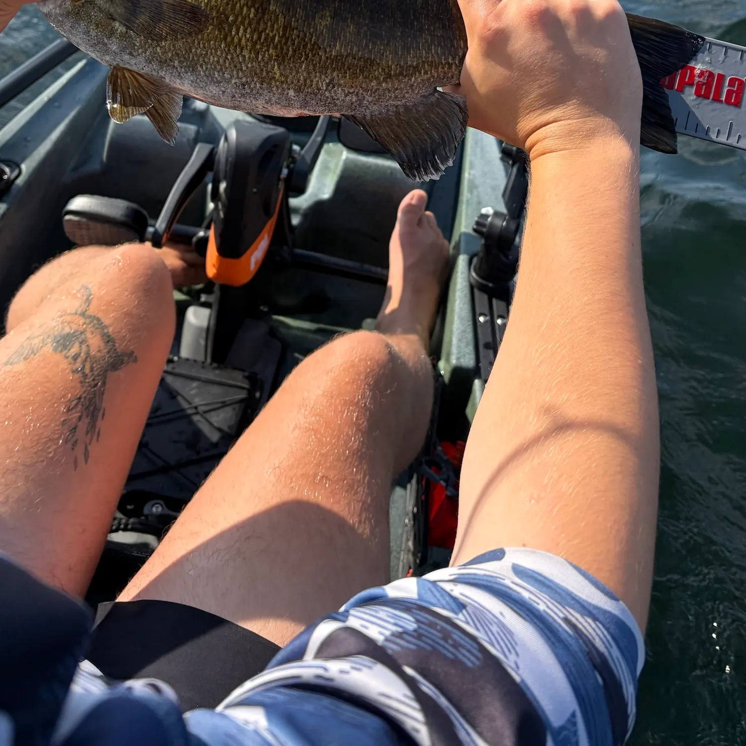Smallmouth bass caught on Fishbrain