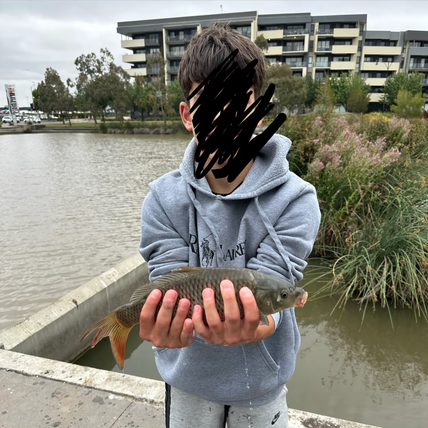 The most recent Common carp catches on Fishbrain