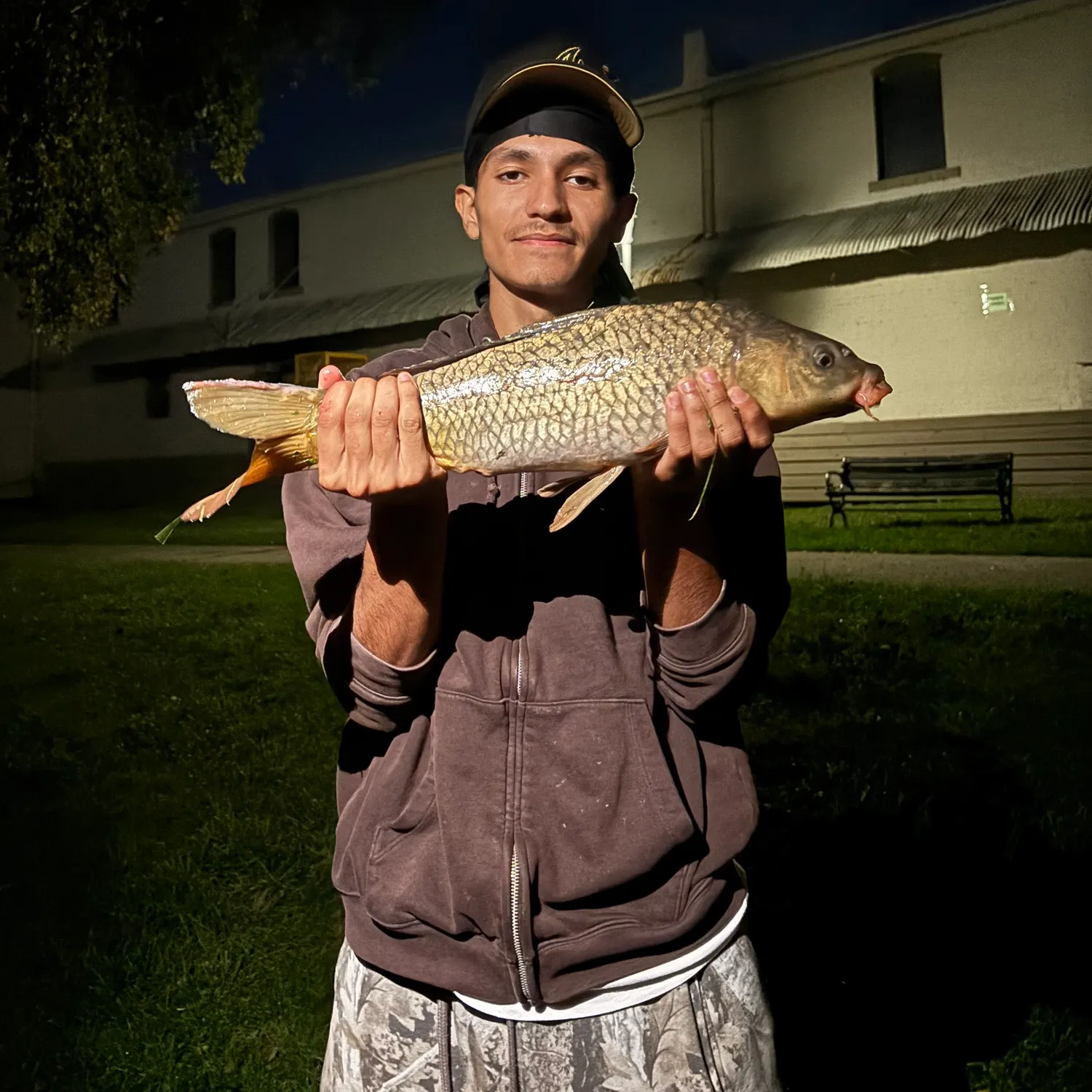 The most recent Mirror carp catches on Fishbrain