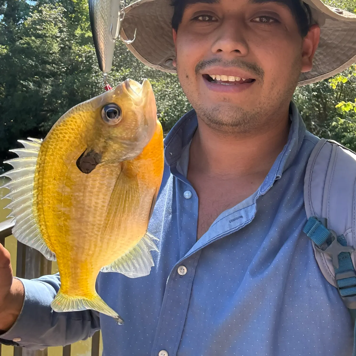 Redbreast sunfish caught on Fishbrain