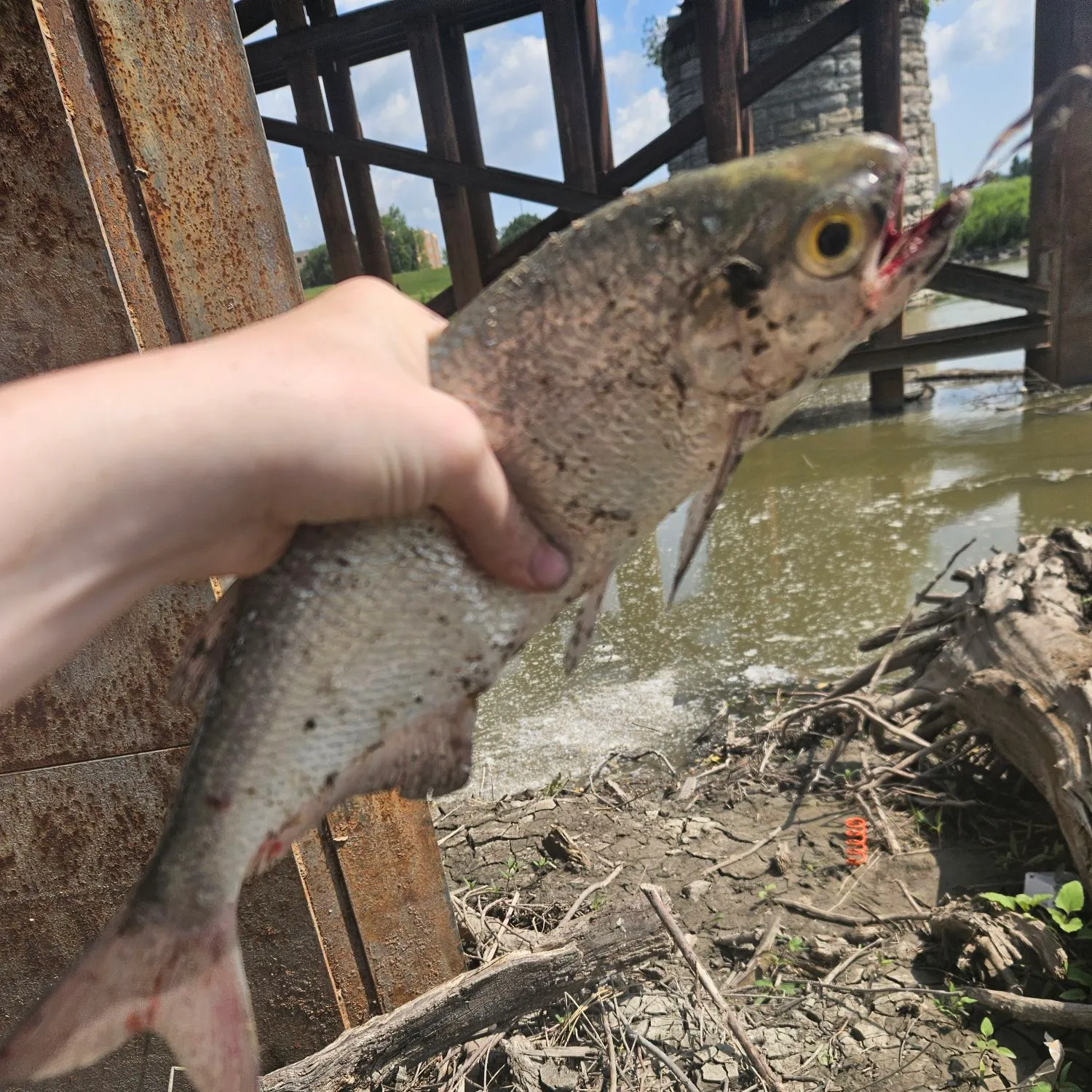 angler catch