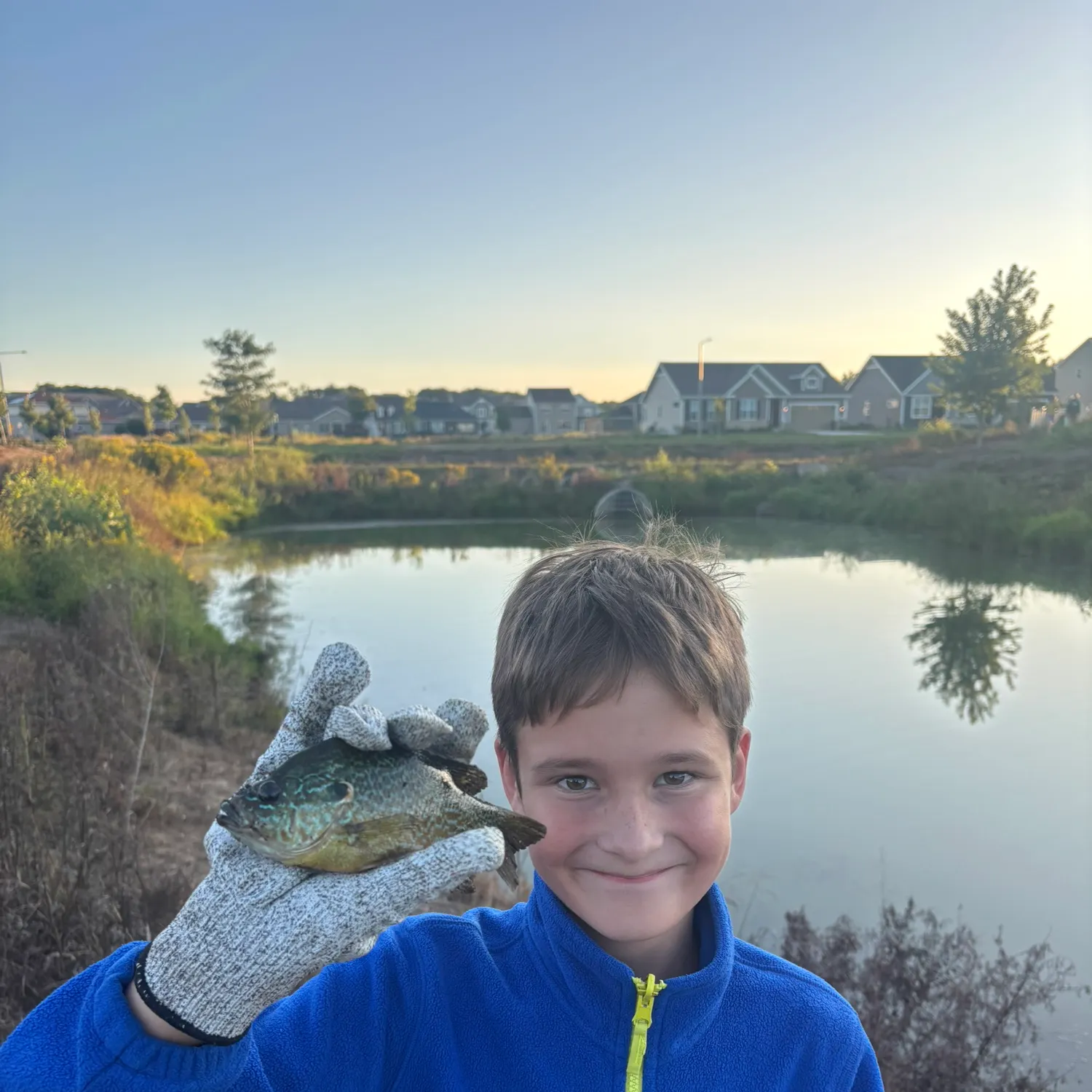 Pumpkinseed caught on Fishbrain