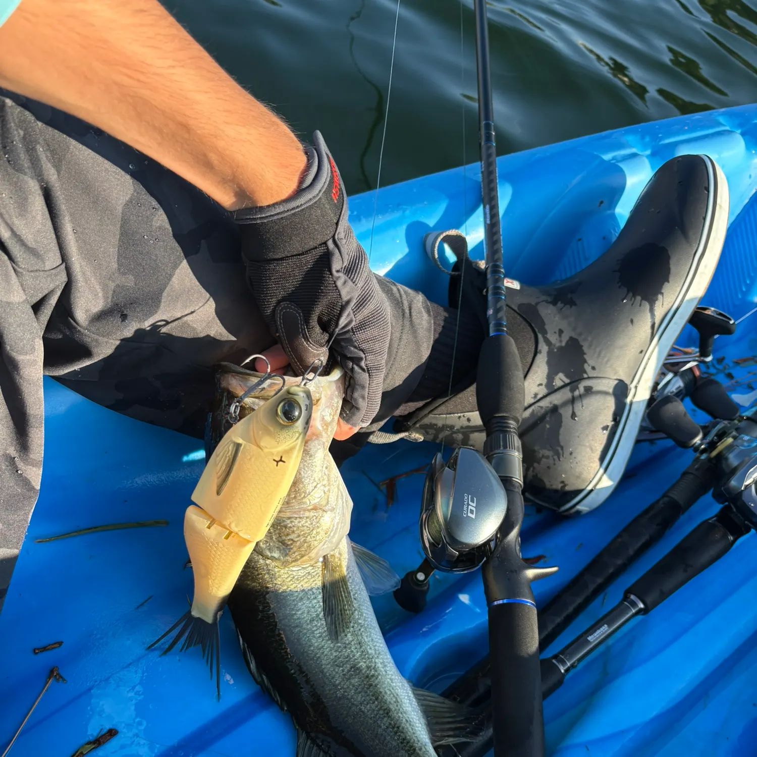 Largemouth bass caught on Fishbrain