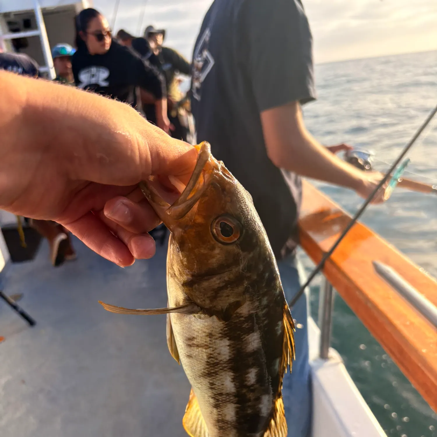 catch