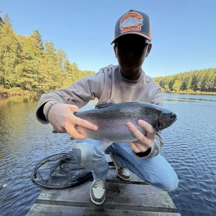 Rainbow trout caught on Fishbrain