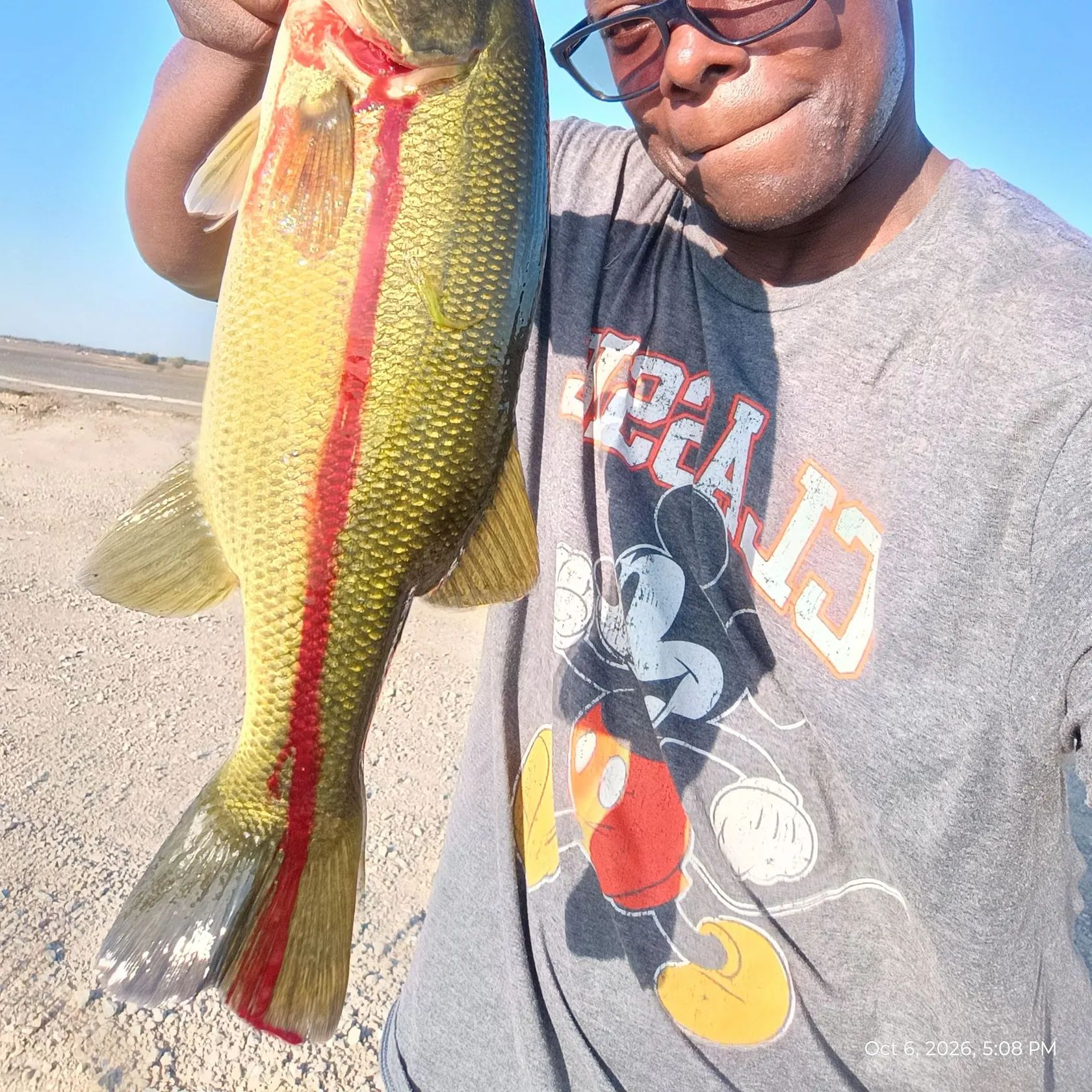 Largemouth bass caught on Fishbrain