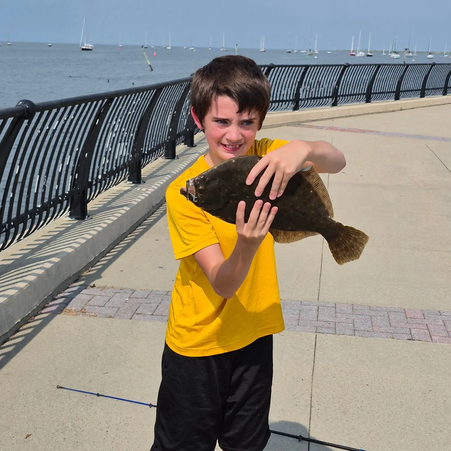 Summer flounder caught on Fishbrain