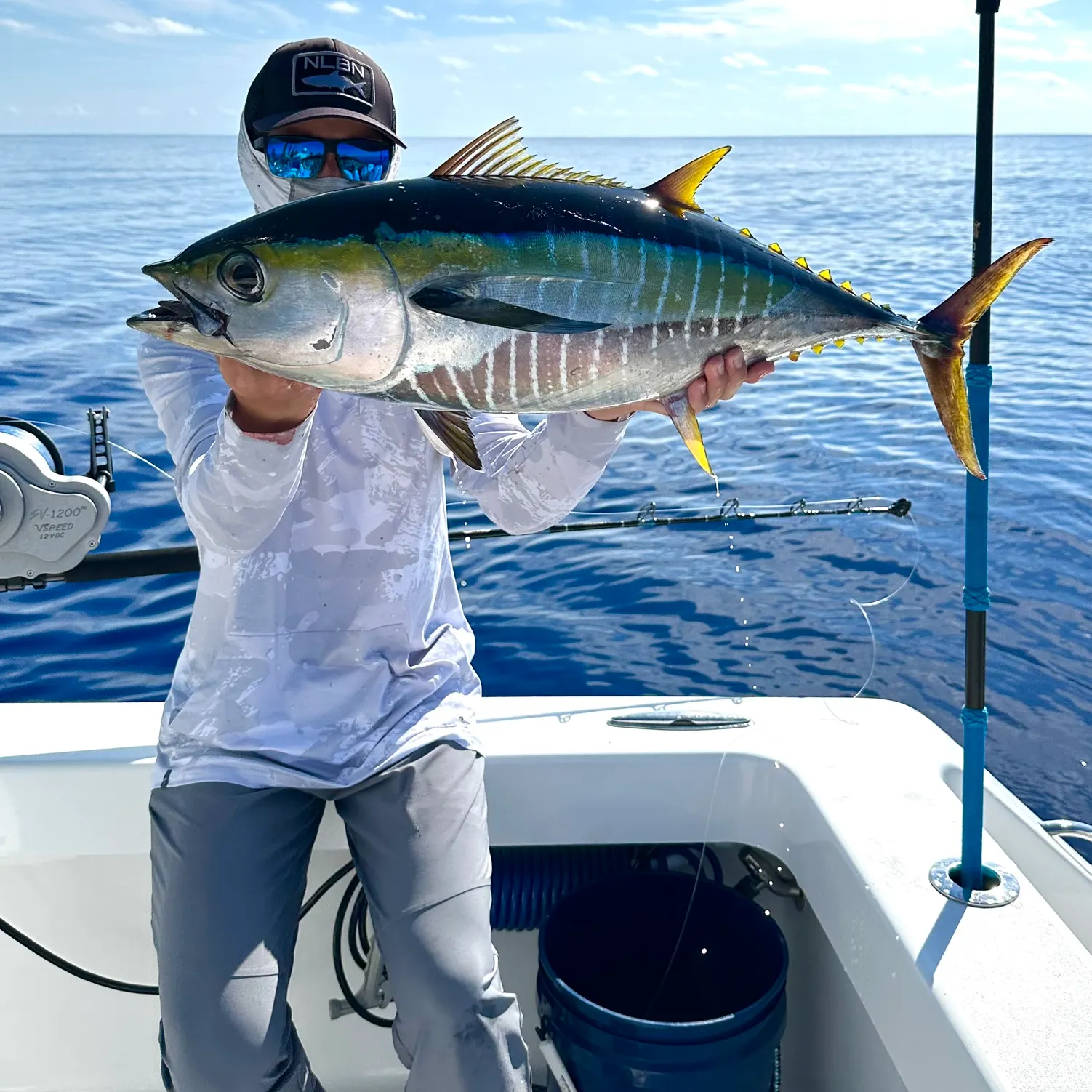The most recent Yellowfin tuna catches on Fishbrain