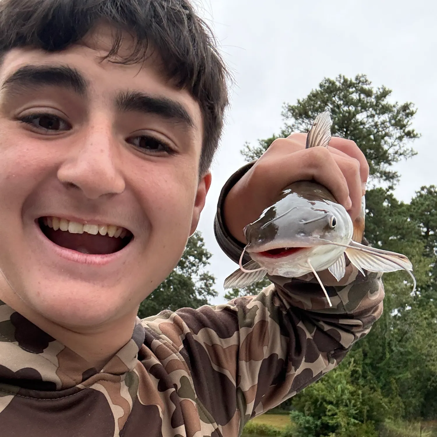 White bullhead caught on Fishbrain