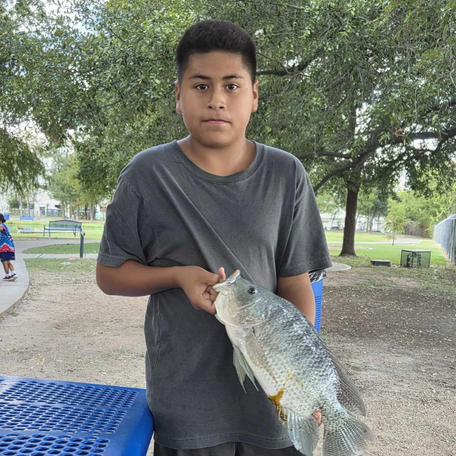 Nile tilapia caught on Fishbrain