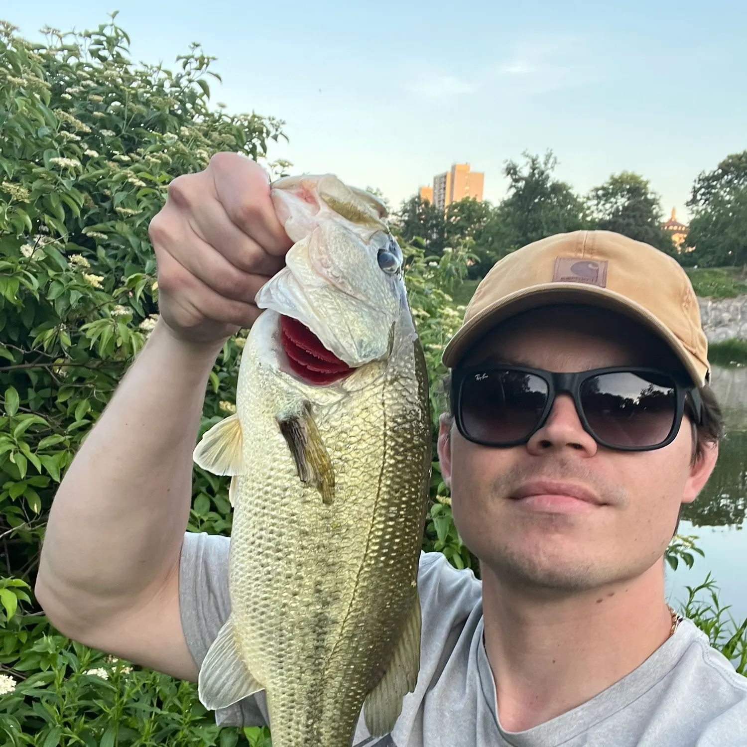 catch