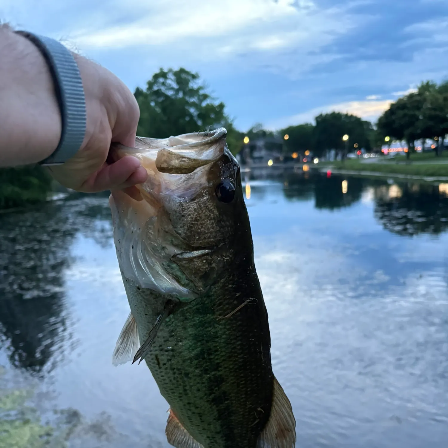 catch
