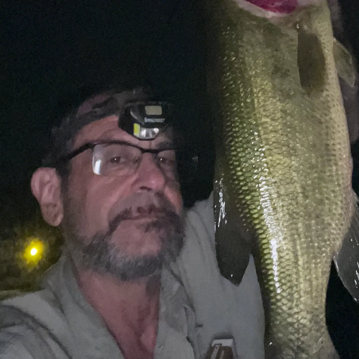 Fish caught on Fishbrain