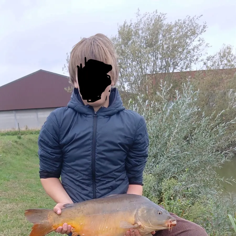 Leather carp caught on Fishbrain