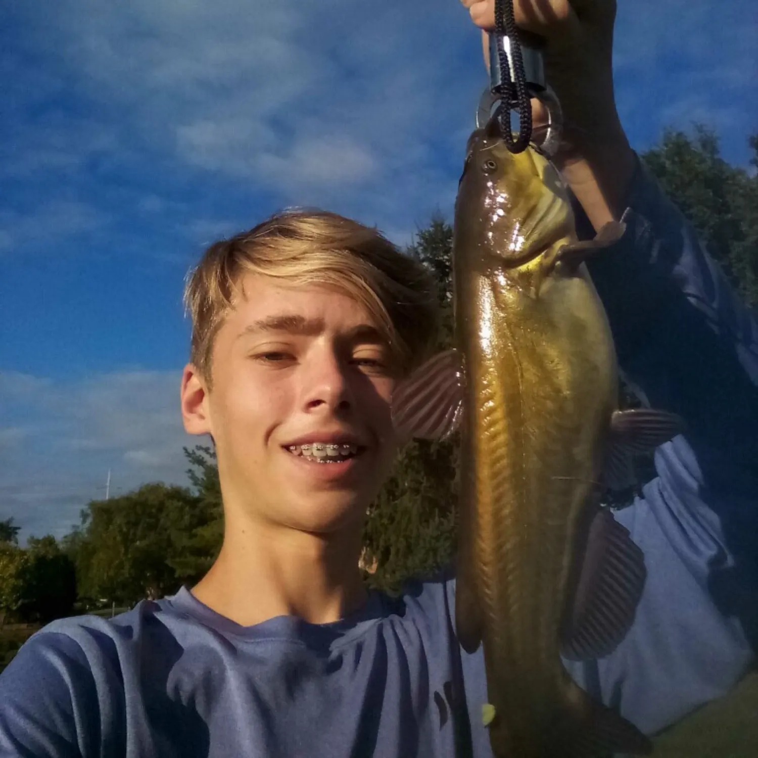 Yellow bullhead caught on Fishbrain