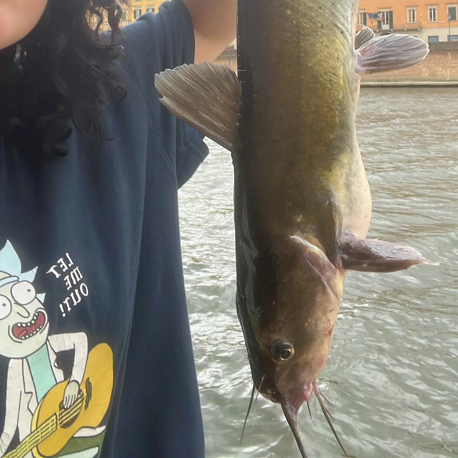 Yellow bullhead caught on Fishbrain