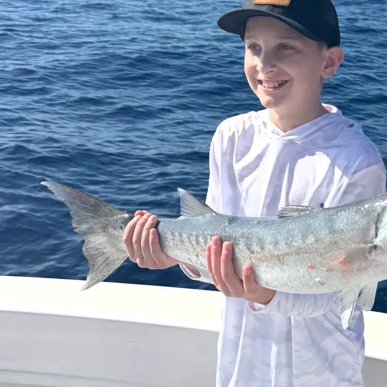 Great barracuda caught on Fishbrain