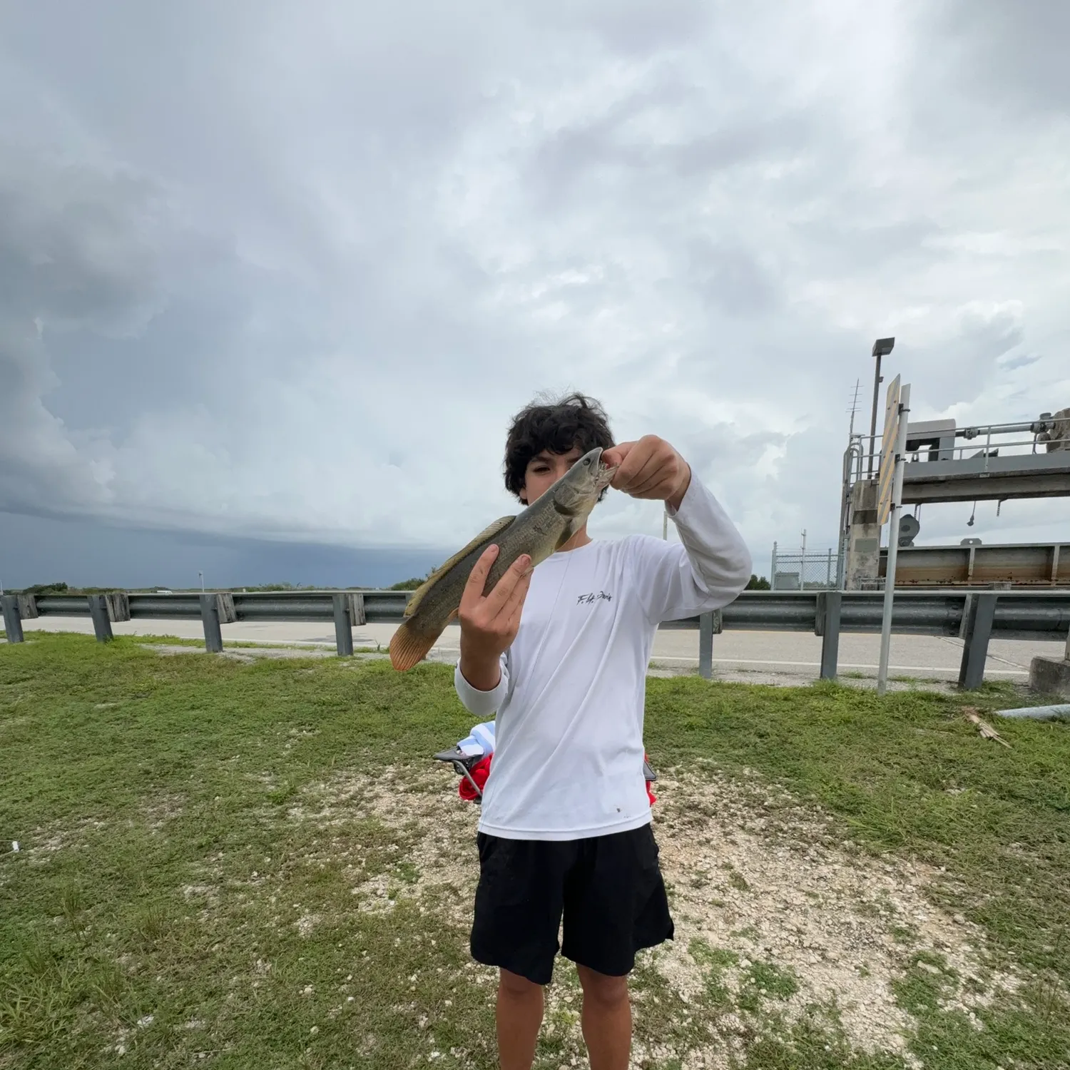 The most recent Ruddy bowfin catches on Fishbrain