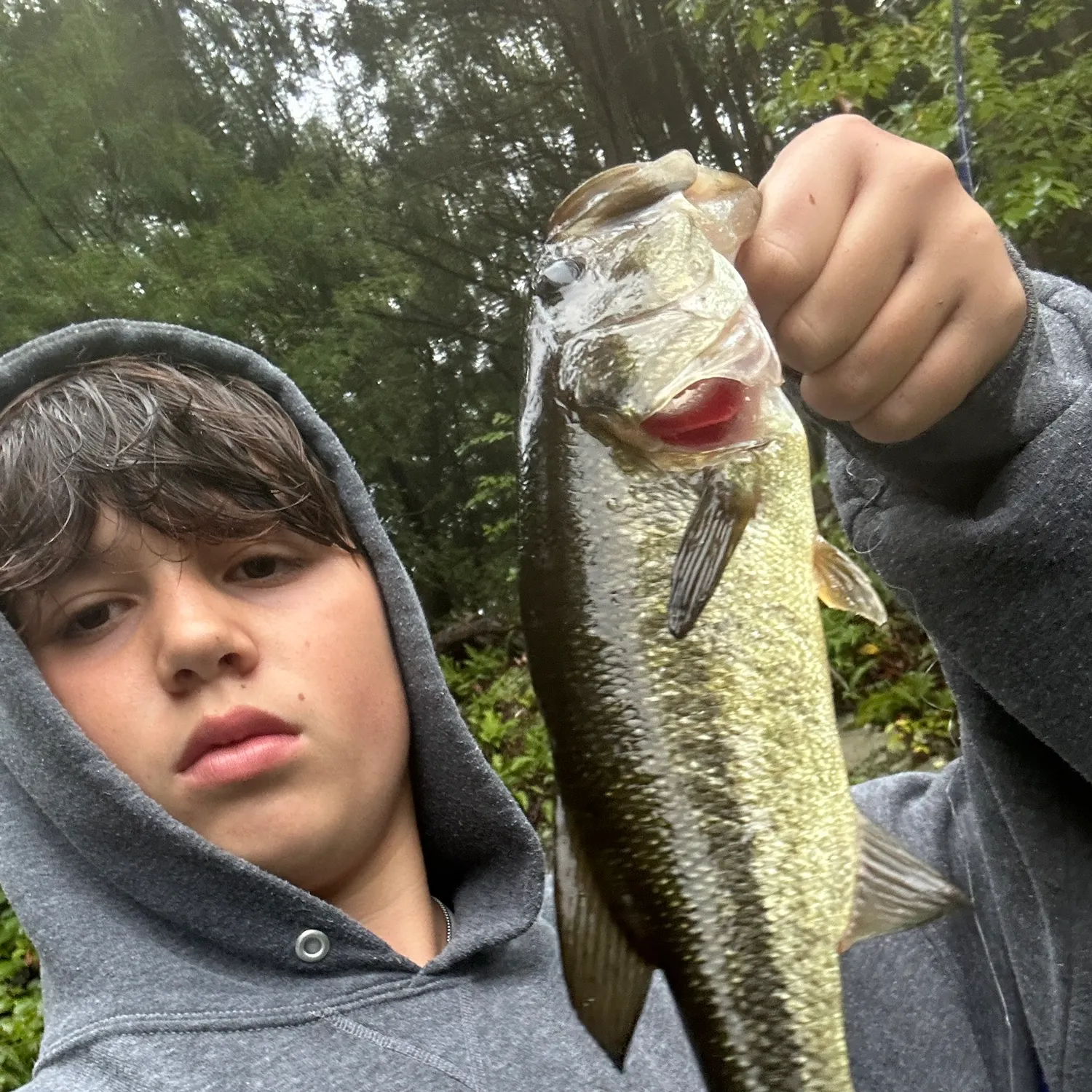 Largemouth bass caught on Fishbrain