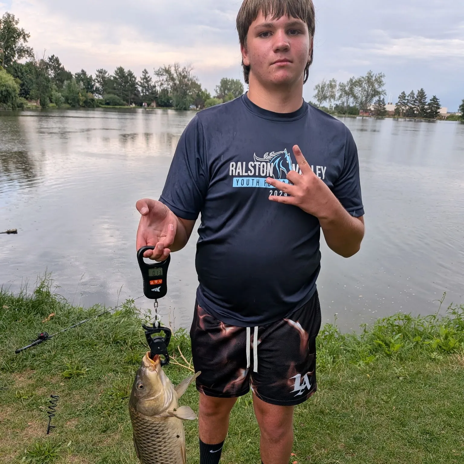 Common carp caught on Fishbrain