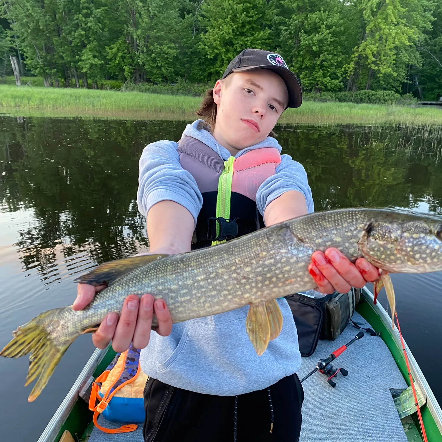 Northern pike caught on Fishbrain