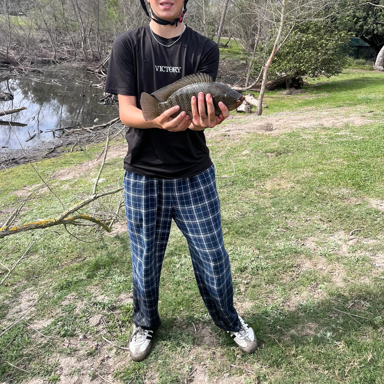 The most recent Blue tilapia catches on Fishbrain