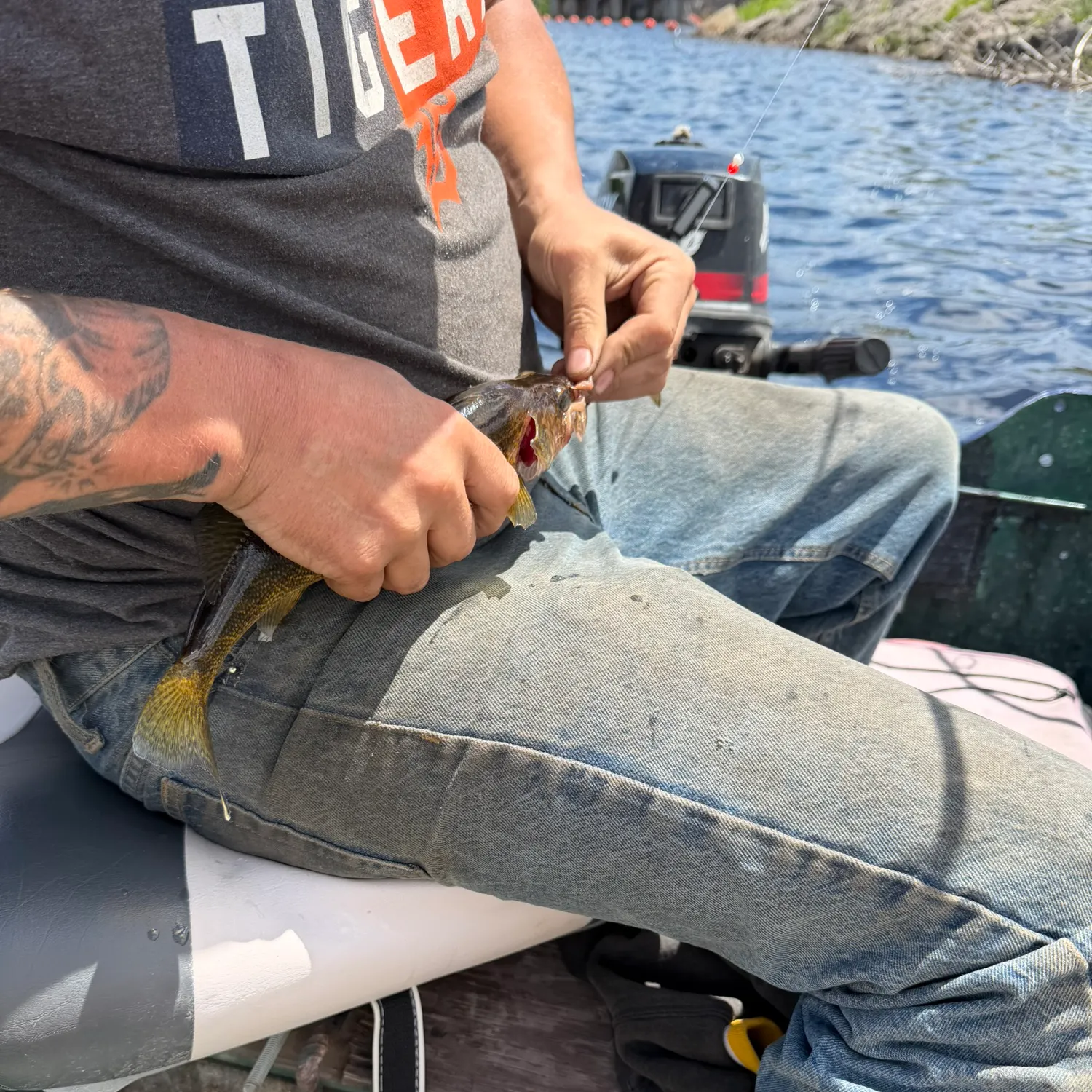 recently logged catches