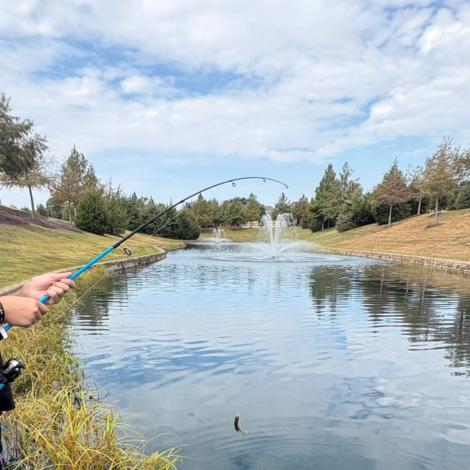 Fish caught on Fishbrain