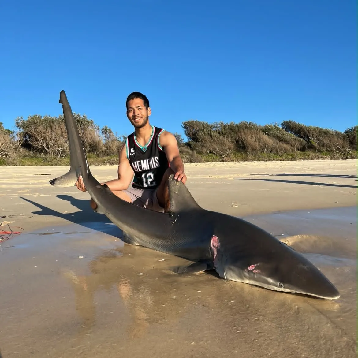 Dusky shark caught on Fishbrain