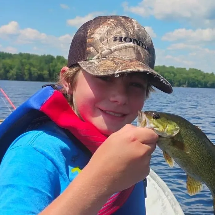 Smallmouth bass caught on Fishbrain