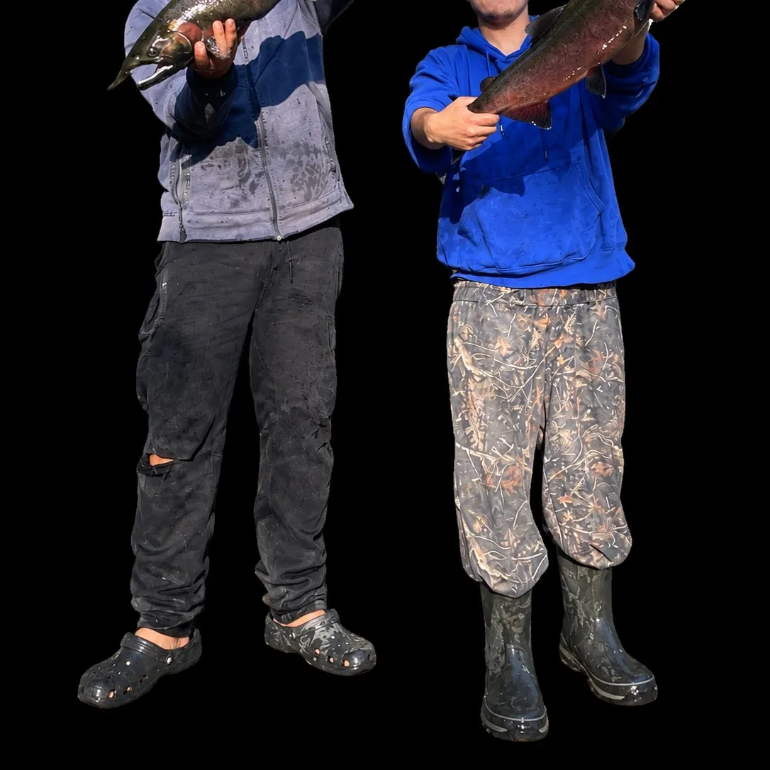 Coho salmon caught on Fishbrain