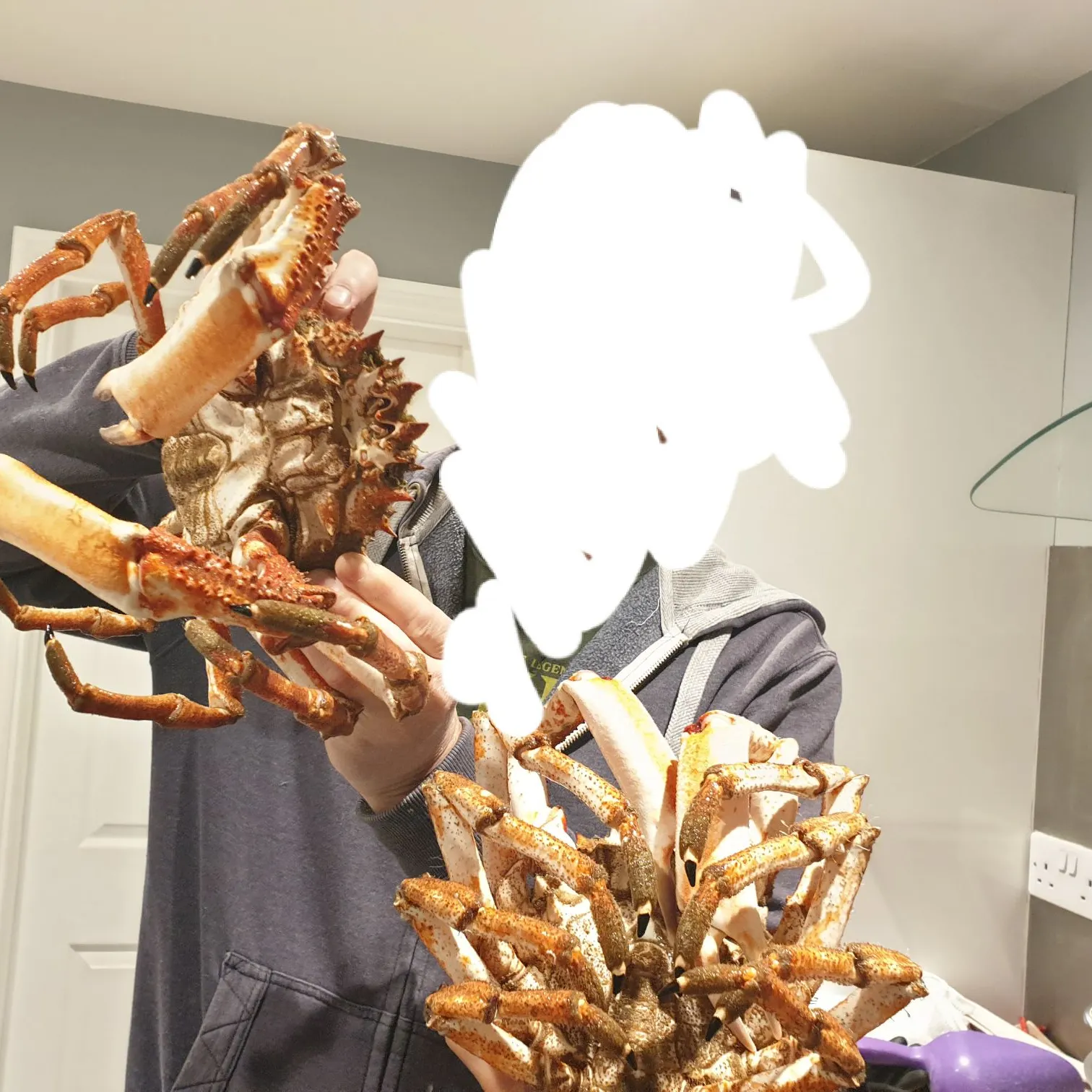 The most recent European spider crab catches on Fishbrain