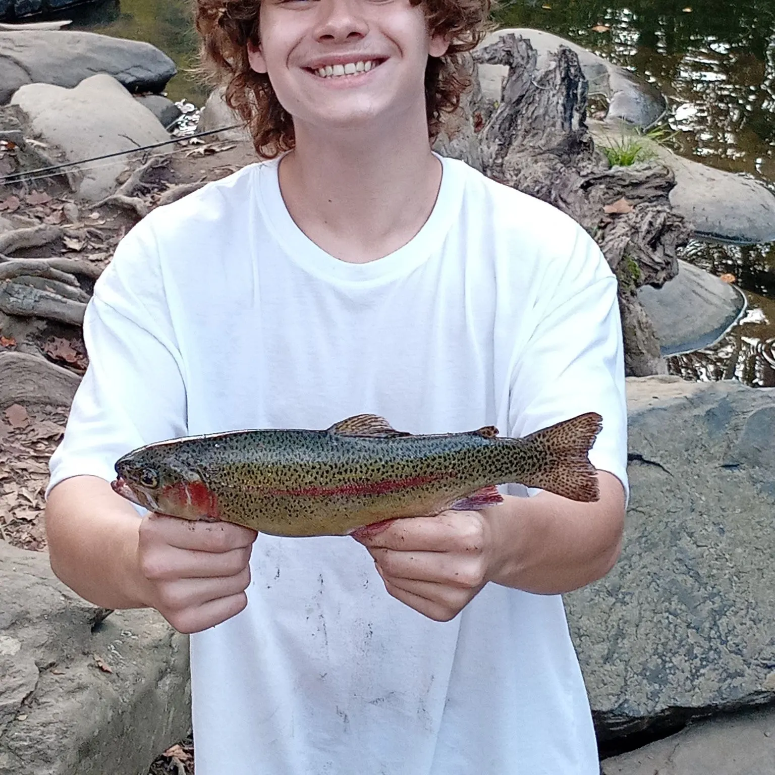 Rainbow trout caught on Fishbrain