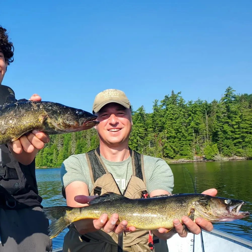 Walleye caught on Fishbrain