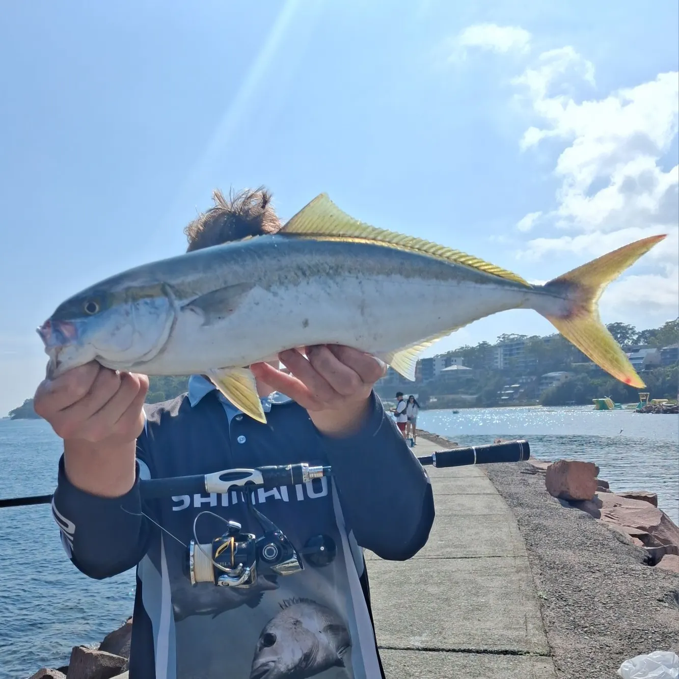 The most recent Southern yellowtail amberjack catches on Fishbrain
