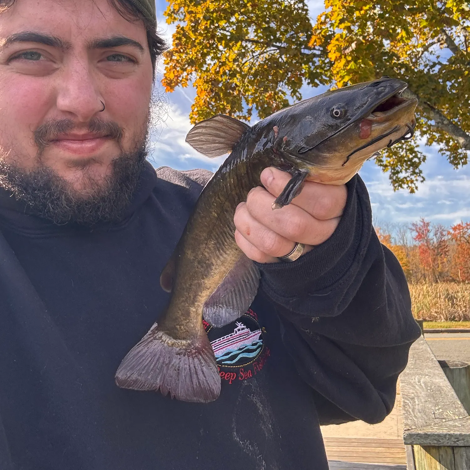 Black bullhead caught on Fishbrain