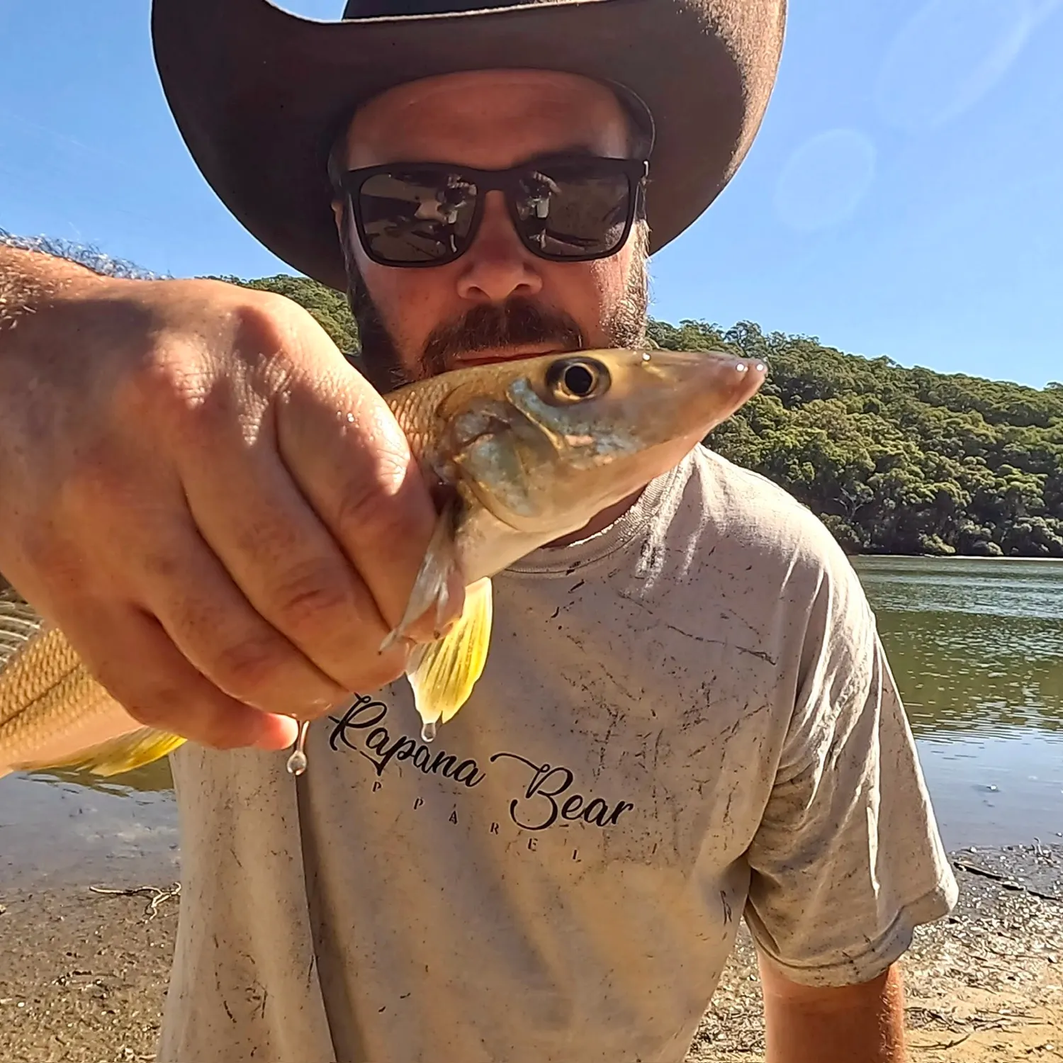 The most recent Sand sillago catches on Fishbrain
