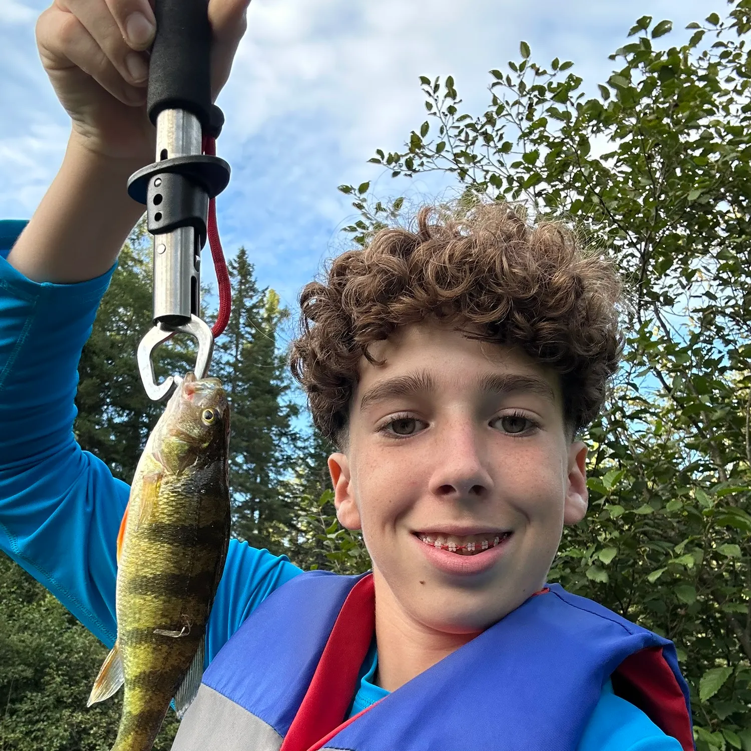 Yellow perch caught on Fishbrain