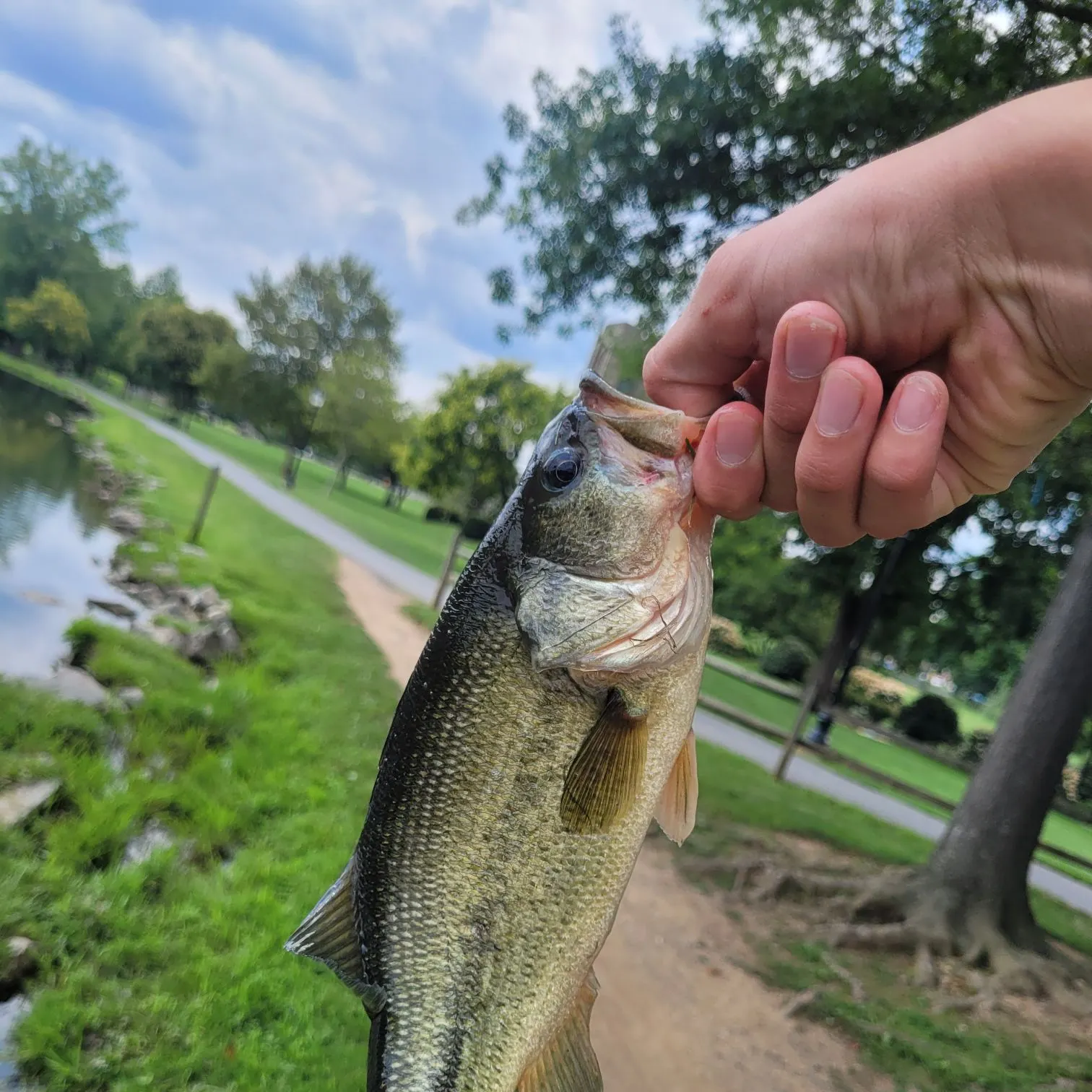 catch