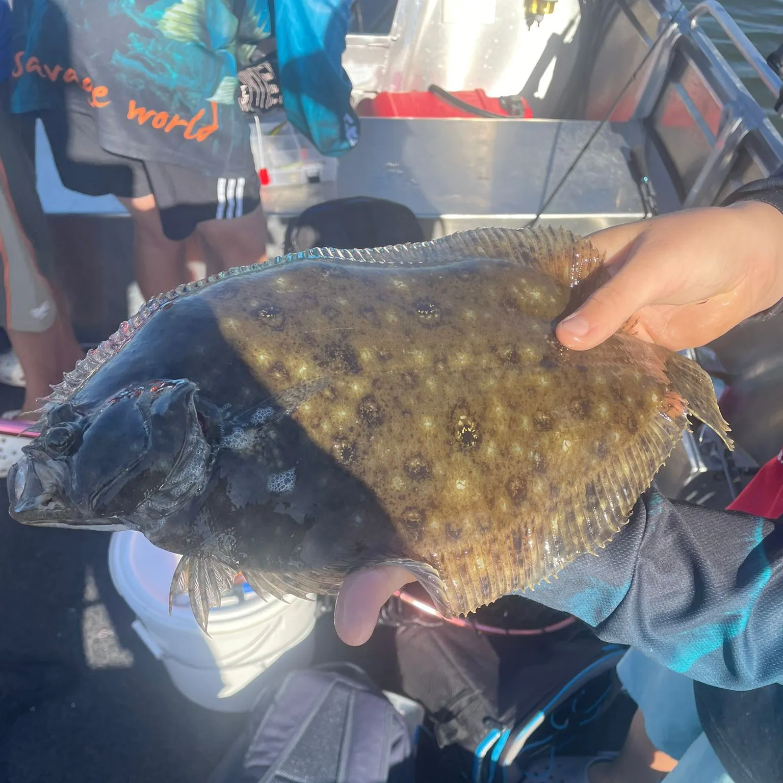 The most recent Smalltooth flounder catches on Fishbrain