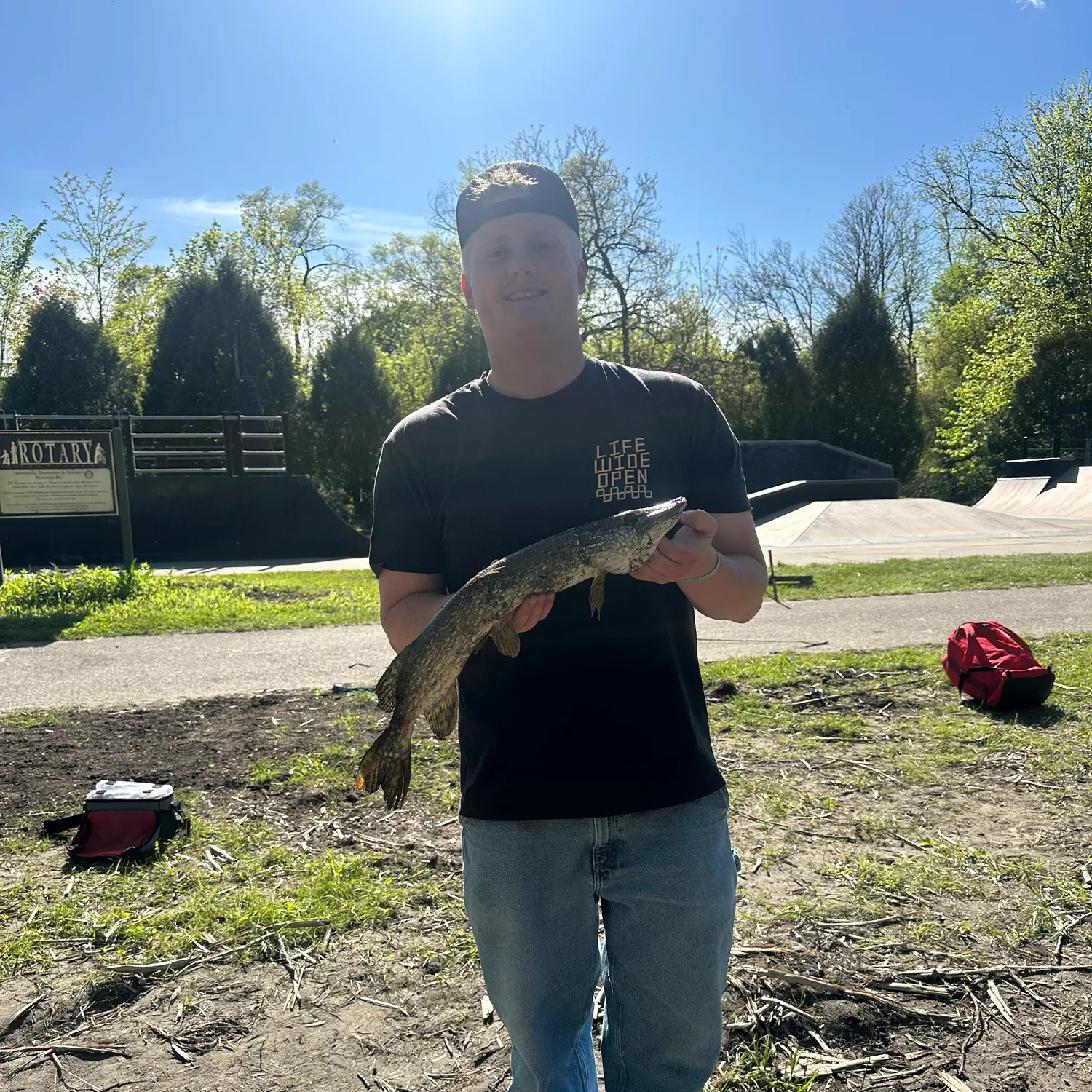 recently logged catches