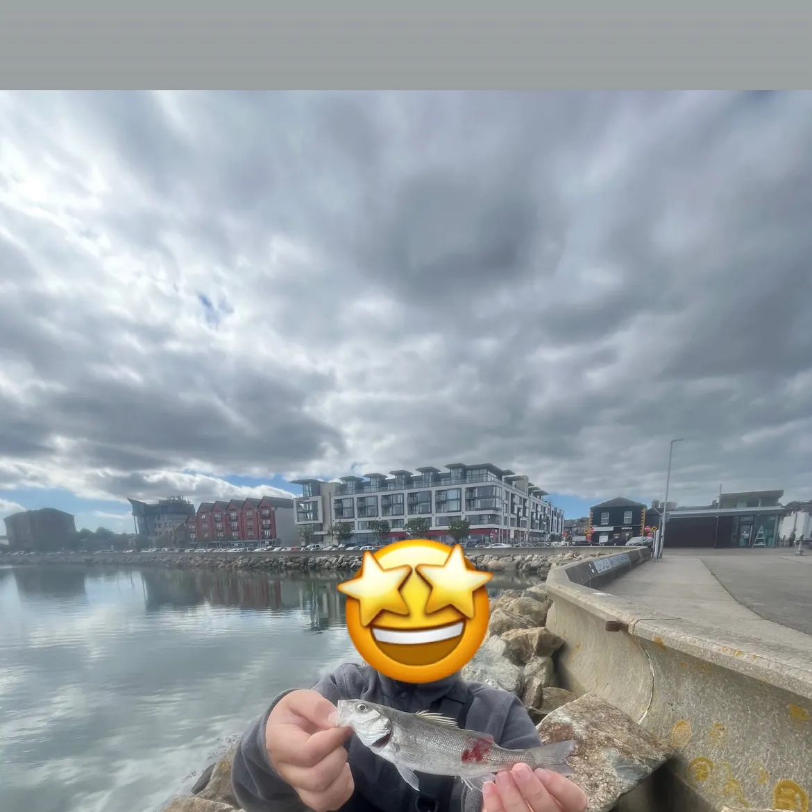 European seabass caught on Fishbrain