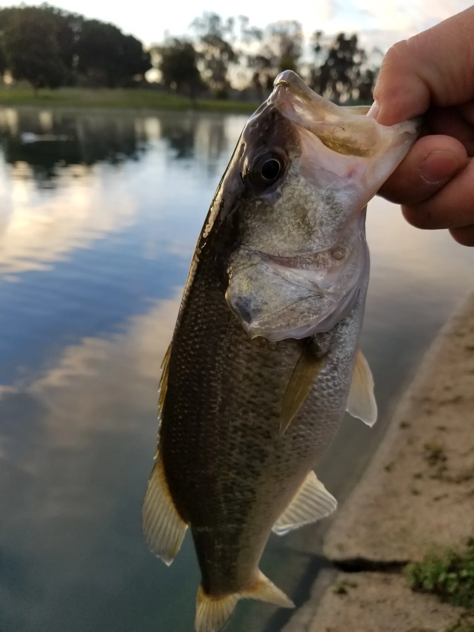 Post image from 96thcast