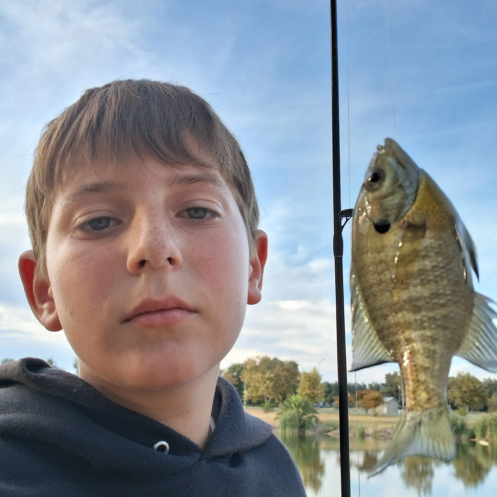 Bluegill caught on Fishbrain