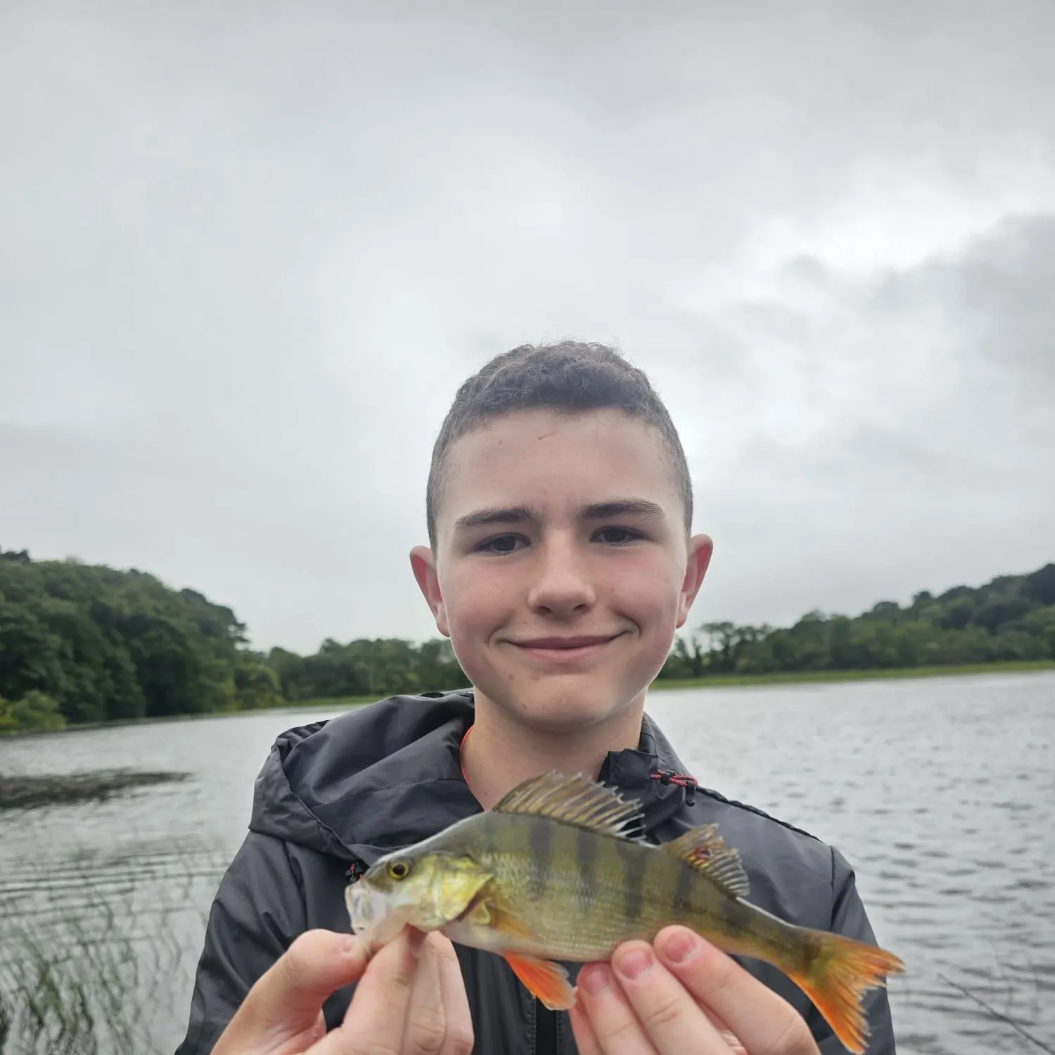 The most recent European perch catches on Fishbrain